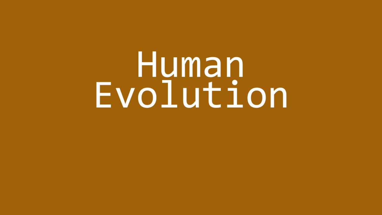 Human Evolution Trivia Quiz - Free History Quiz With Answers